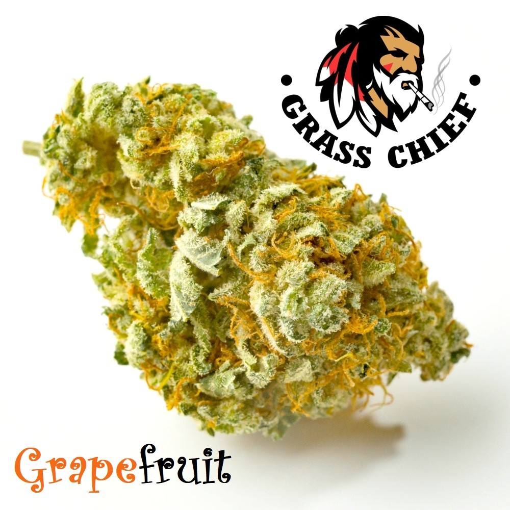 Buy Grapefruit Cannabis at Grasschief.com