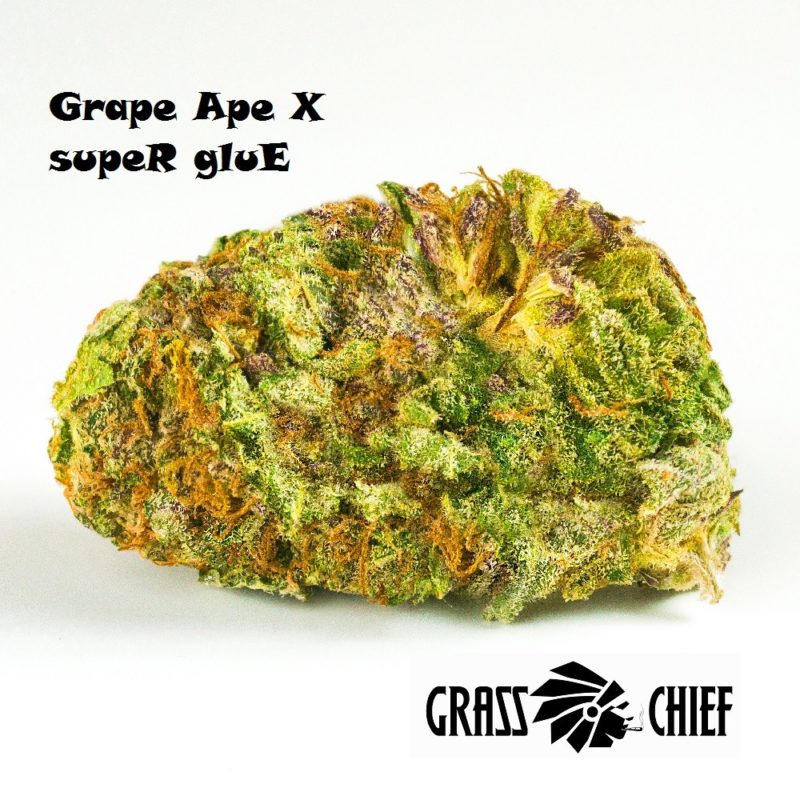 grape-ape-x-super-glue