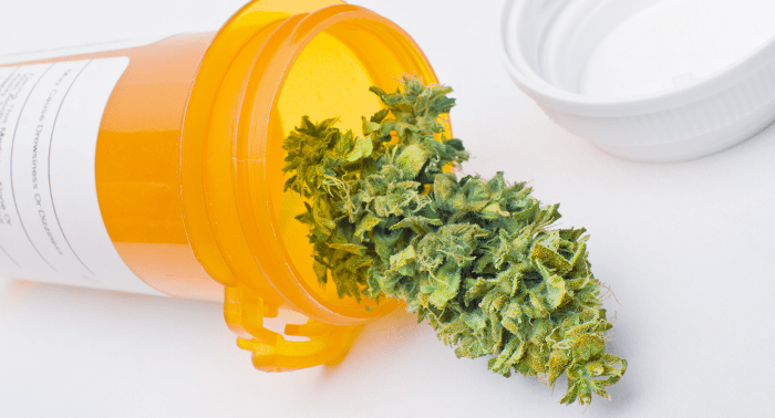 Medical Marijuana Not Just An Average Herb