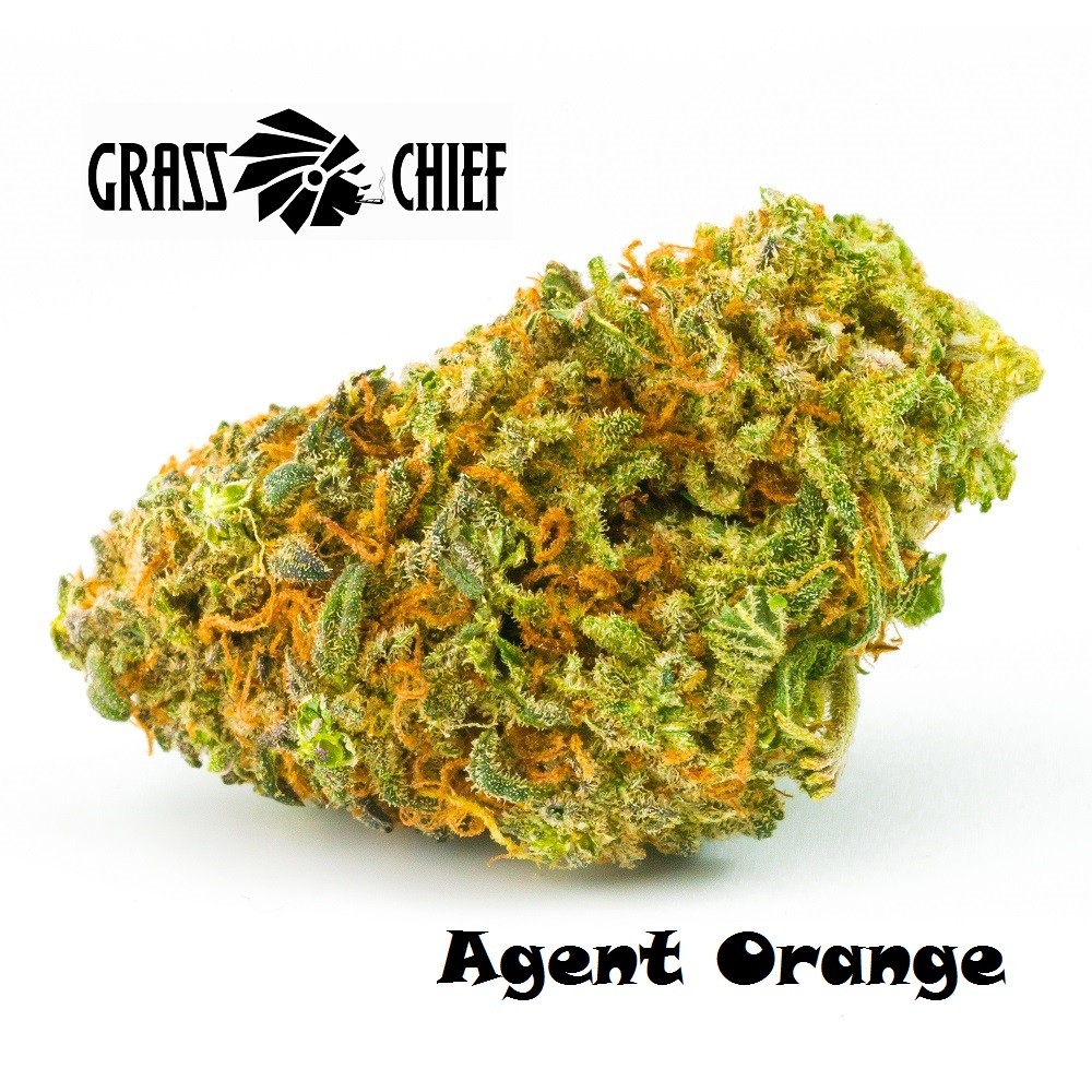 Agent-orange-grass-chief