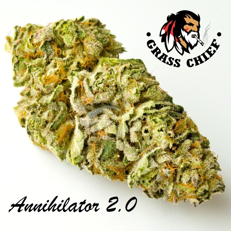 Buy Annihilator 2 at Grass Chief