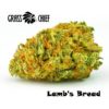 Lamb's Bread on Grass Chief