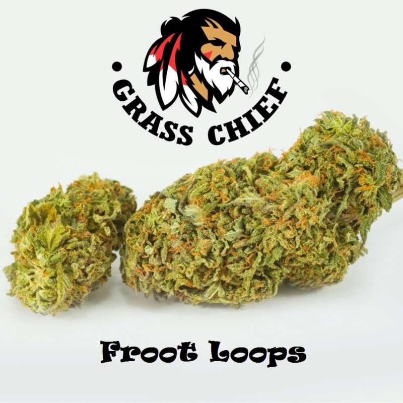 Froot-Loops-1-grass-chief