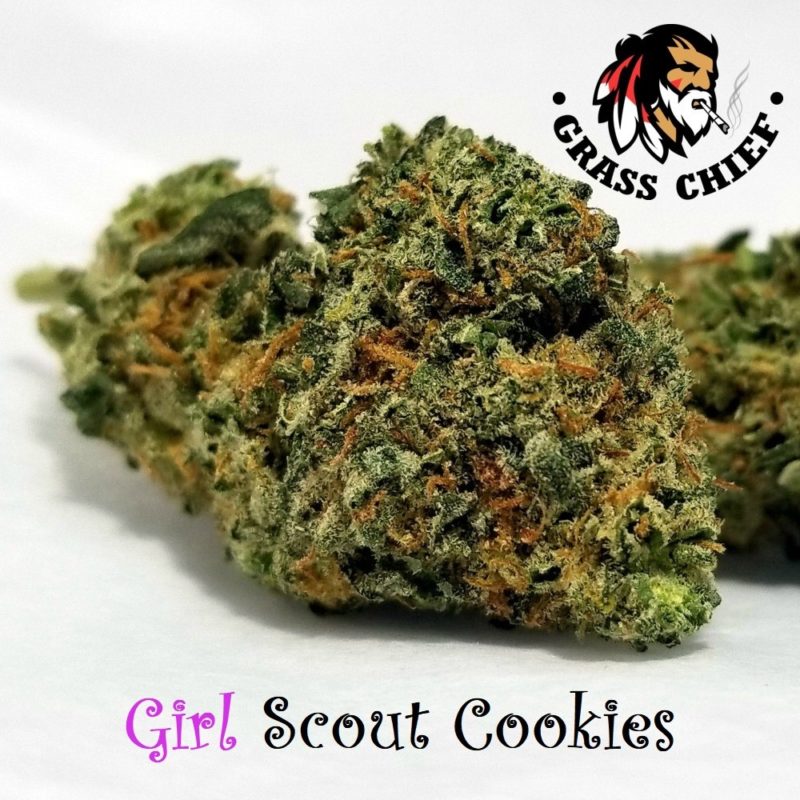 Girl-scout-cookies-aaa-grass-chief