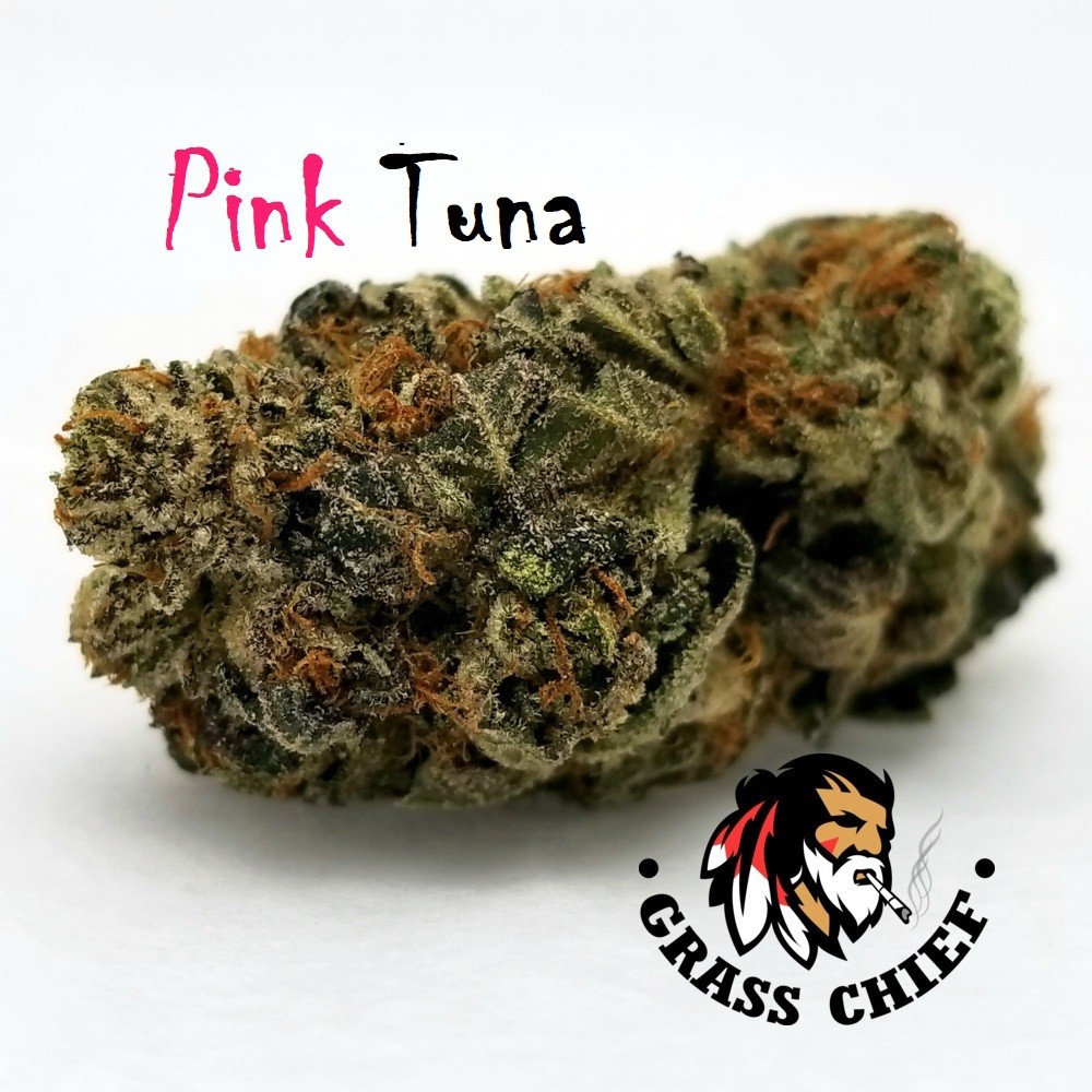 Pink Tuna strain