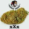 Buy XXX OG on Grass Chief