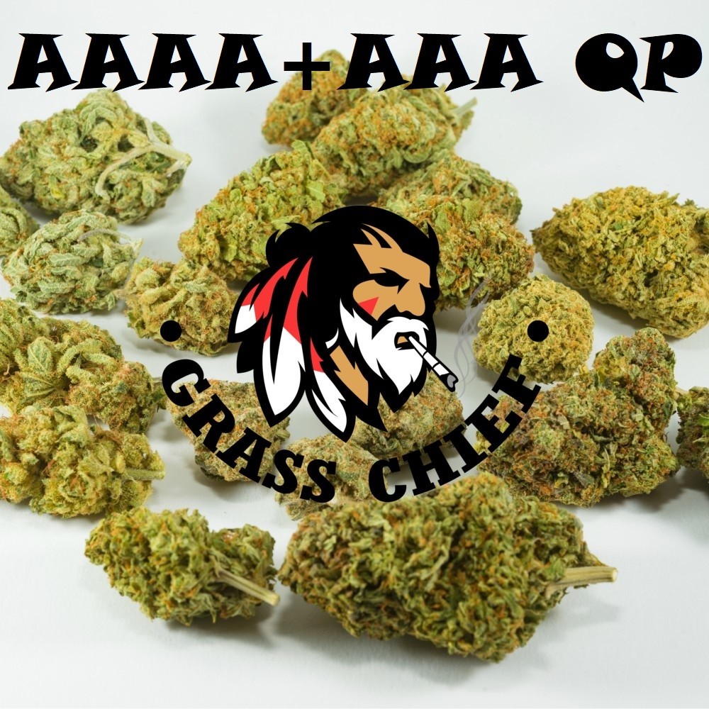 AAA-and-AAAA-QP-Grass-Chief