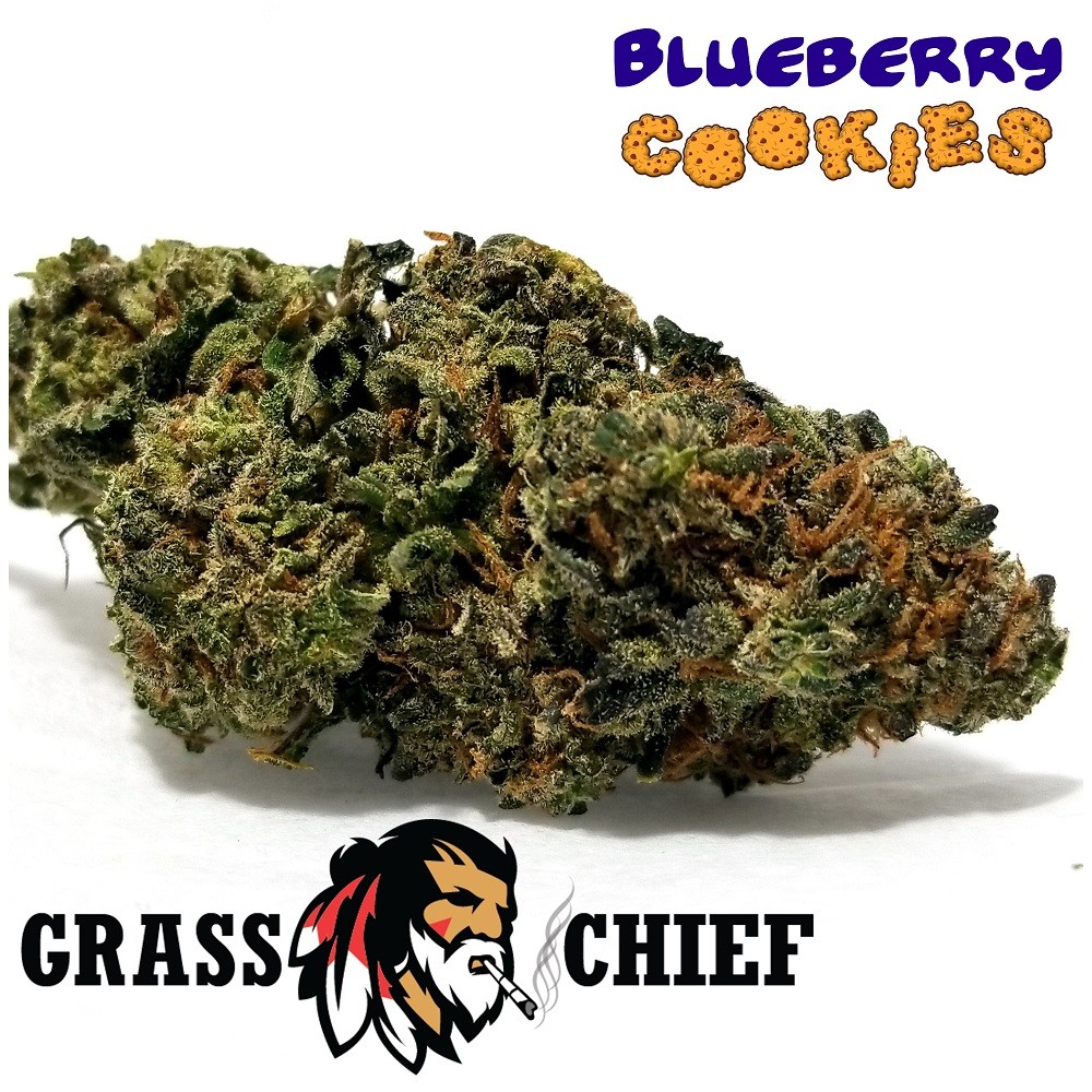 Blueberry Cookies Grass Chief