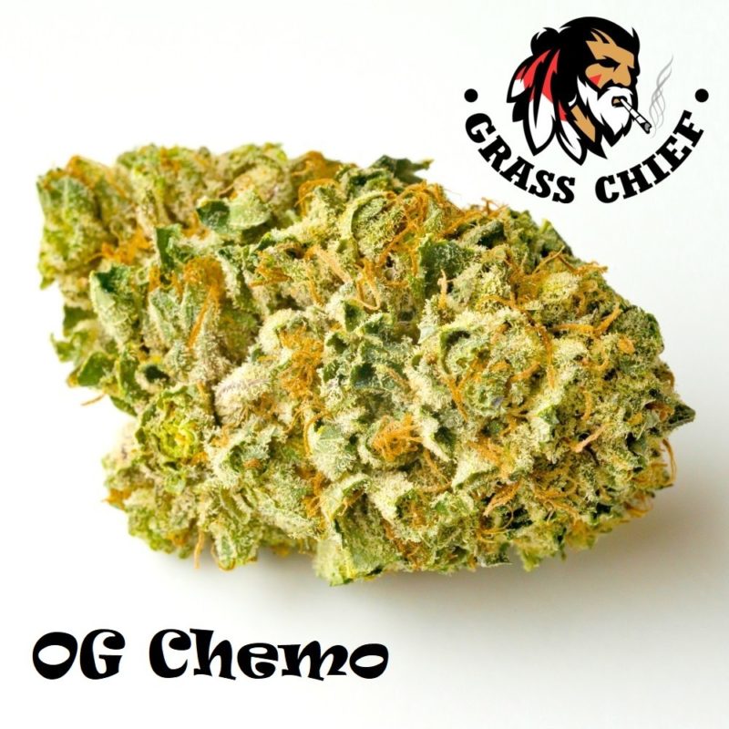 Buy OG Chemo at Grass Chief
