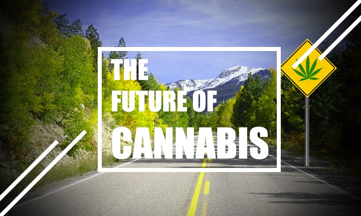 The Future Of Cannabis