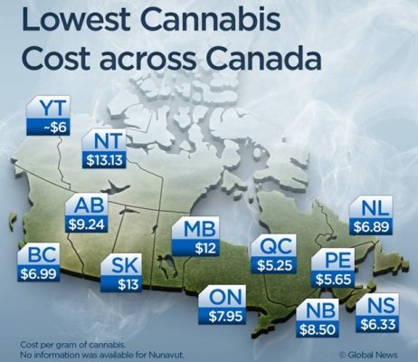 Producers Struggle to Find the Positives in Canada’s Legal Weed Market