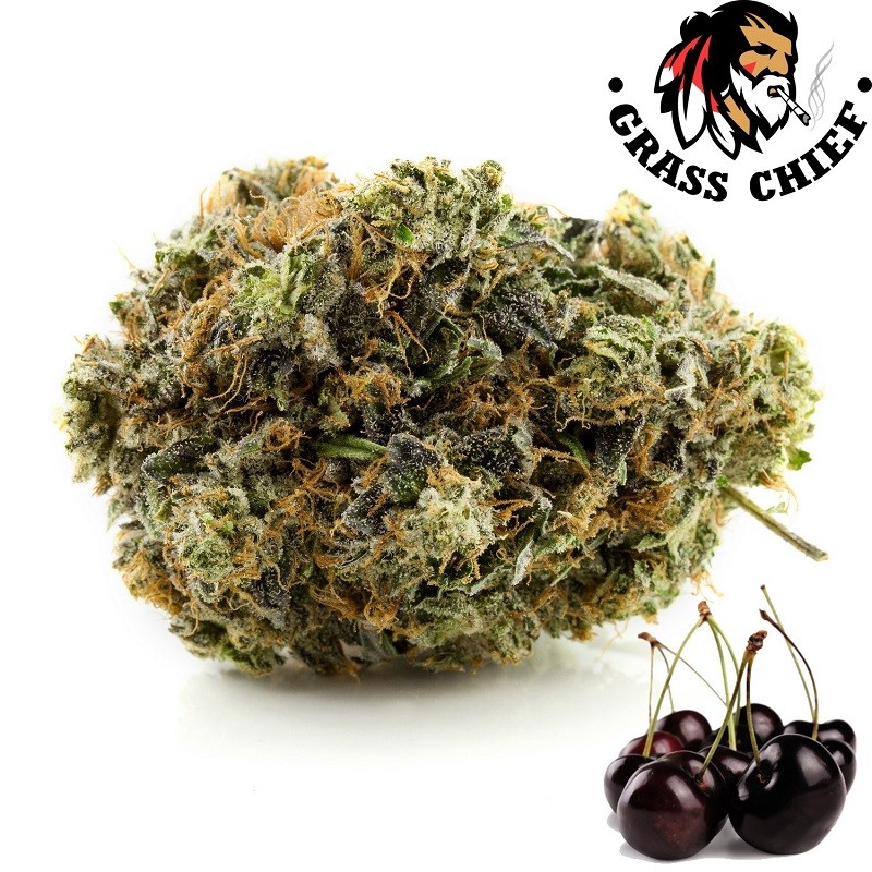 Buy Black Cherry Punch - AAAA Indica dominant hybrid at GrassChief.com