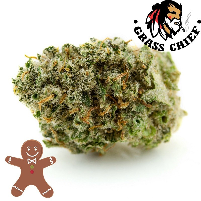 Buy "Top Quality" Ginger Cookies - AAAA strains at Grasschief.com