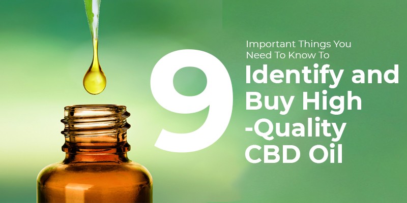 9 Important Things You Need To Know To Identify and Buy High-Quality CBD Oil