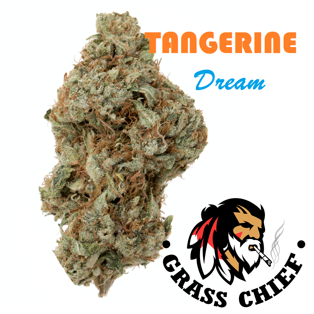 Buy Tangerine Dream at Grasschief.com