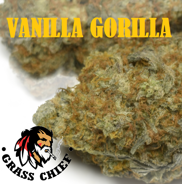 Buy Vanilla Gorilla at Grasschief.com
