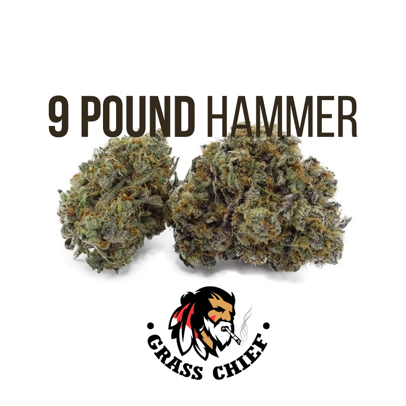 9 Pound Hammer strain