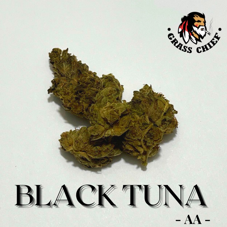 Black Tuna strain