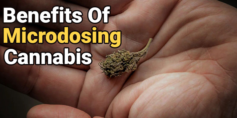 Benefits Of Microdosing Cannabis