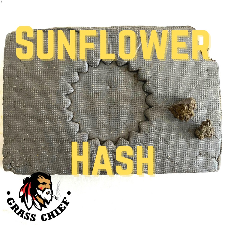 Sunflower Hash Canada