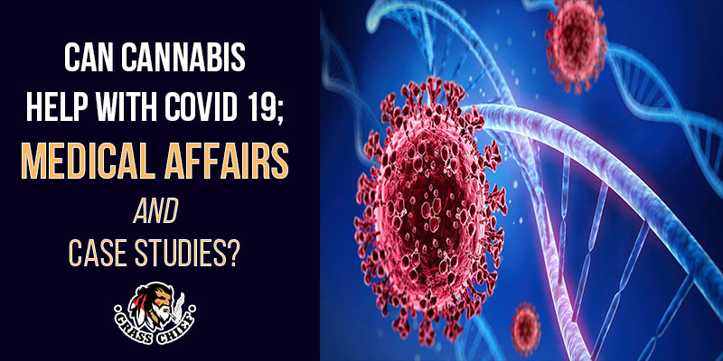 Can Cannabis help with COVID 19: Medical Affairs and case studies?