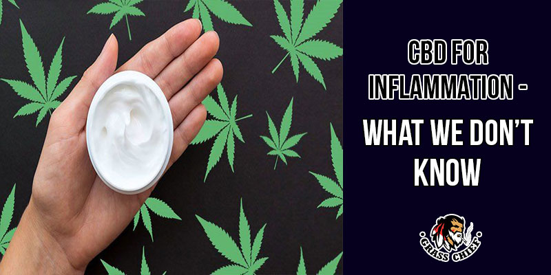 CBD for Inflammation - What We Don’t Know