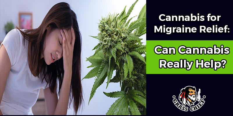 cannabis for migraine